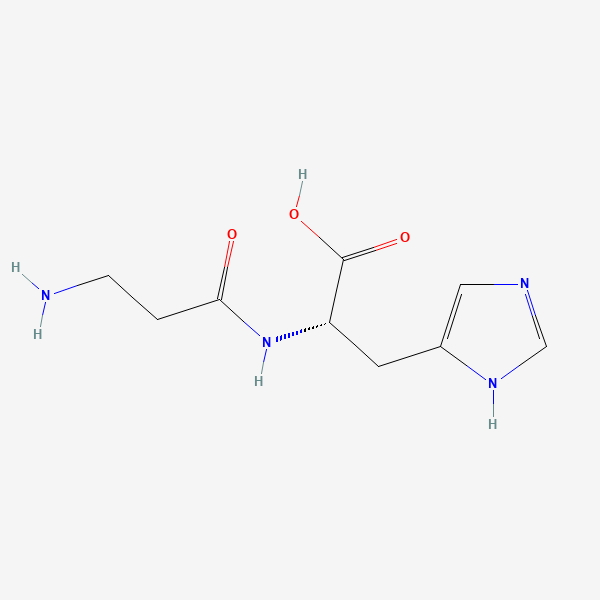 2D chemical structure of Carnosine (PubChem CID 439224)