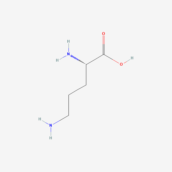 2D chemical structure of L-Ornithine (PubChem CID 6262)