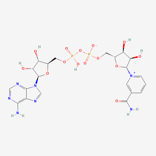 2D chemical structure of NAD+ (PubChem CID 5892)